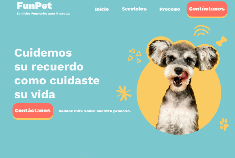 Proyecto 3